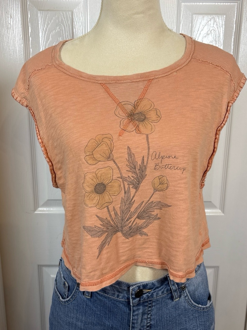 American Eagle Outfitters Peach Wildflower Crop Top Gorpcore FairyCore Poetcore